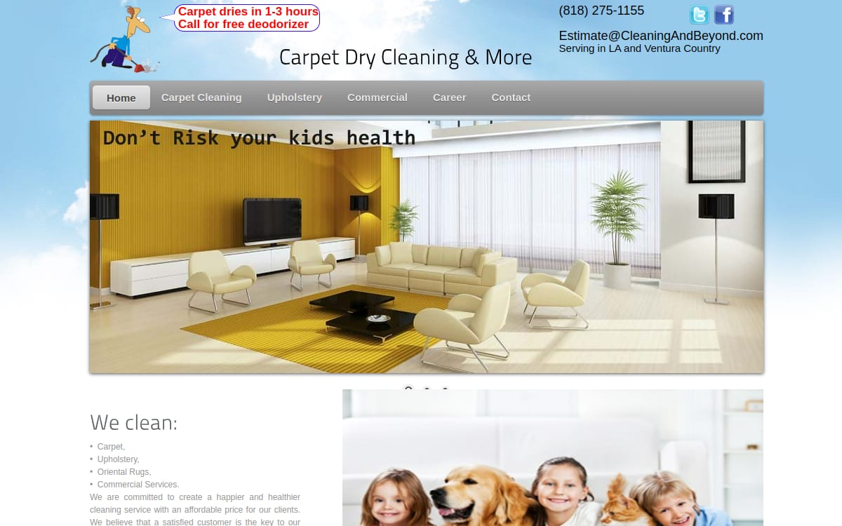 Best Carpet Dry Cleaning carpet cleaning website homepage