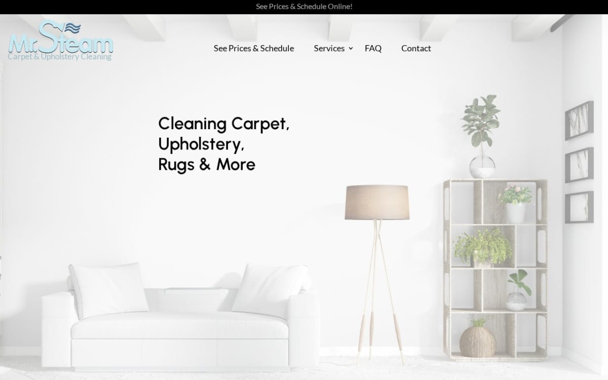 Mr. Steam Carpet & Upholstery Cleaning carpet cleaning website homepage