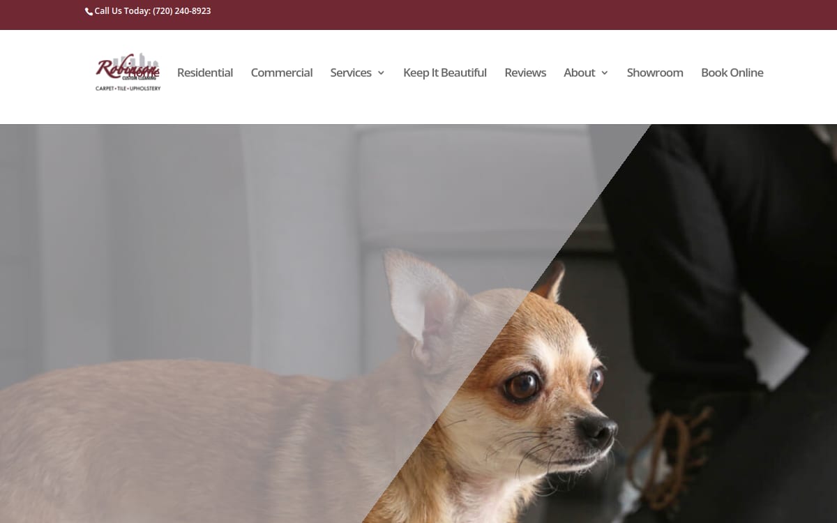 Robinson Custom Cleaning carpet cleaning website homepage