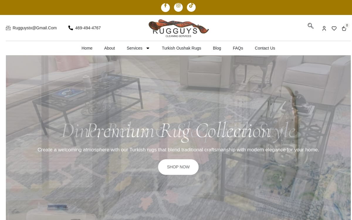 RugGuys carpet cleaning website homepage