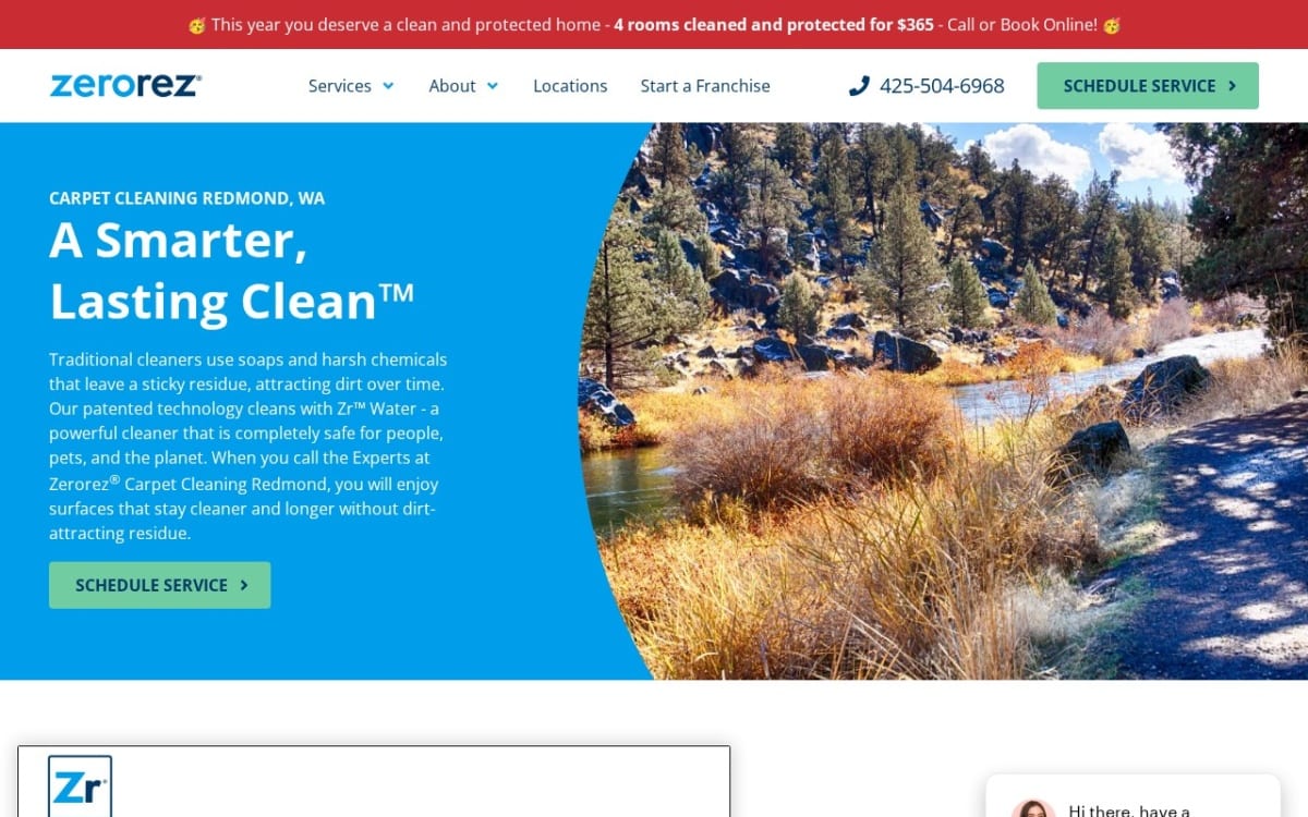 Zerorez Seattle Carpet Cleaning carpet cleaning website homepage