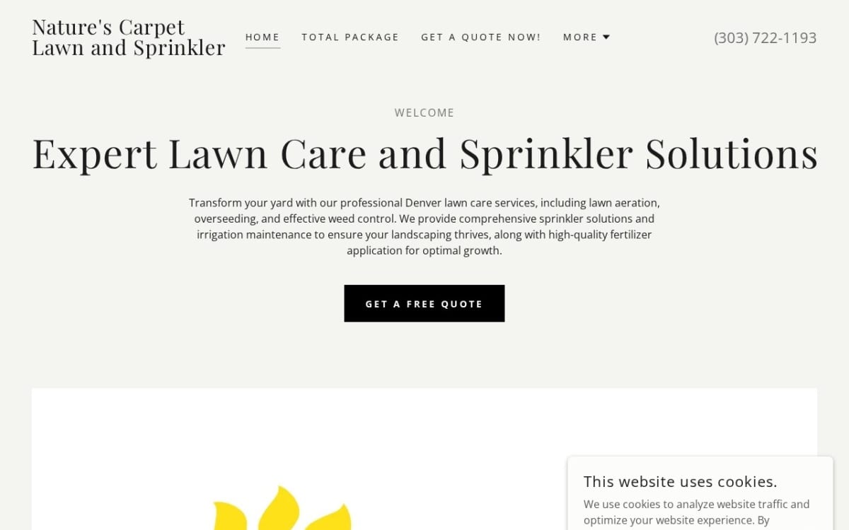 Nature's Carpet Lawn & Sprinkler lawn care website homepage