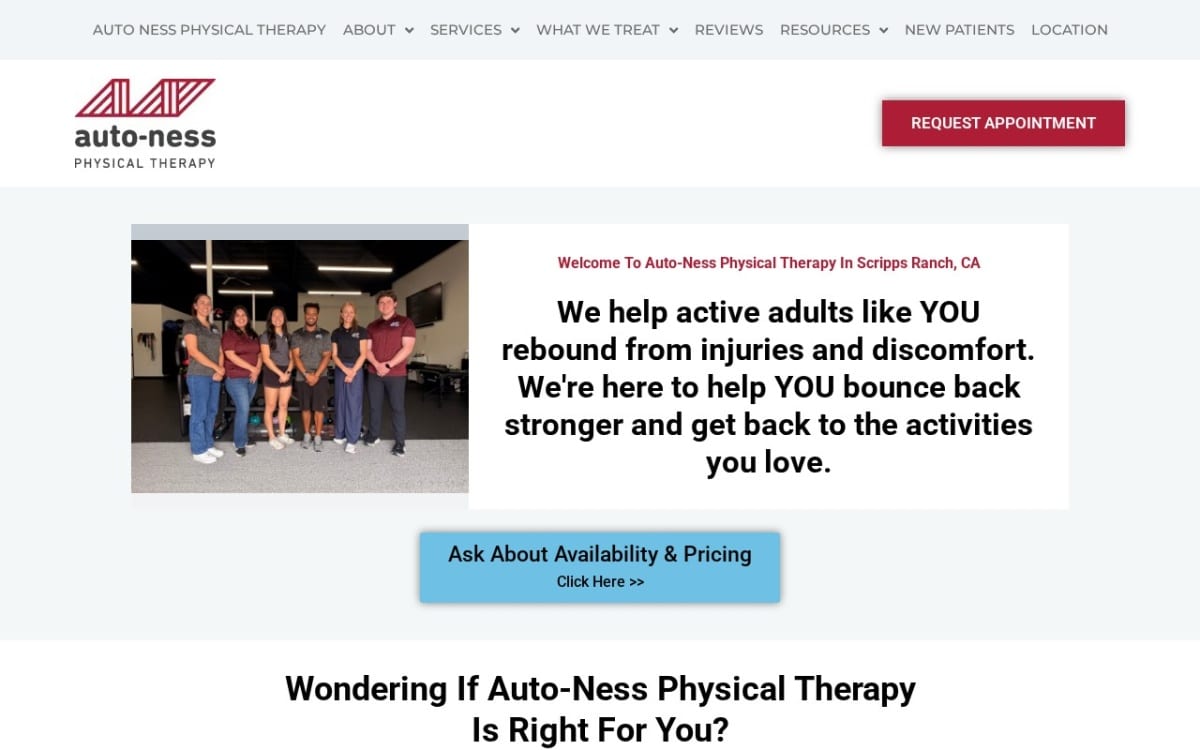 Auto-Ness Physical Therapy physical therapy website homepage