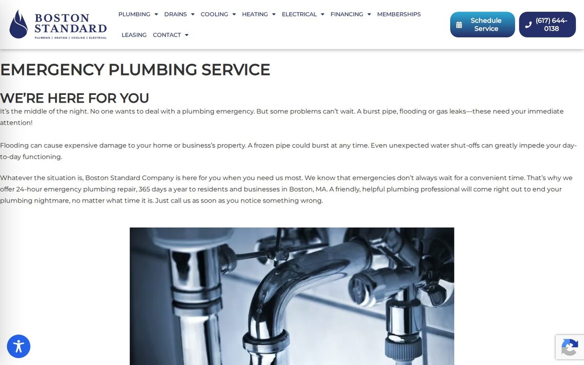 Screenshot of the Boston Standard Company website homepage (Boston, MA)
