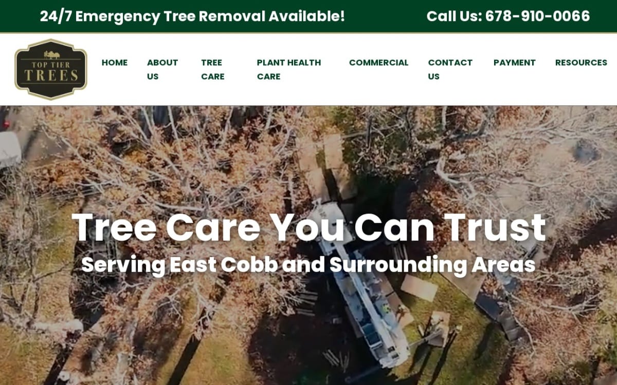 Top Tier Trees tree service website homepage