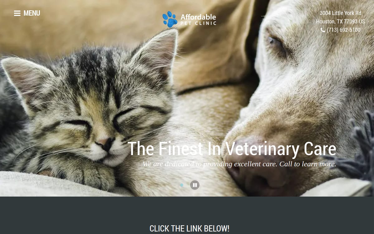 Affordable Pet Clinic veterinarian website homepage