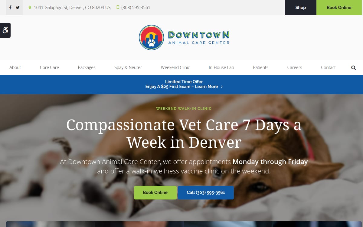 Downtown Animal Care Center veterinarian website homepage