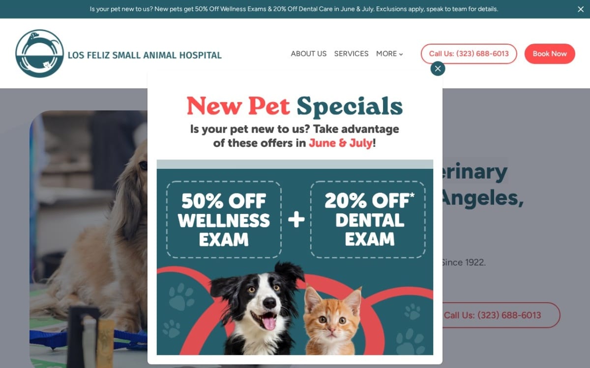 Los Feliz Small Animal Hospital veterinarian website homepage