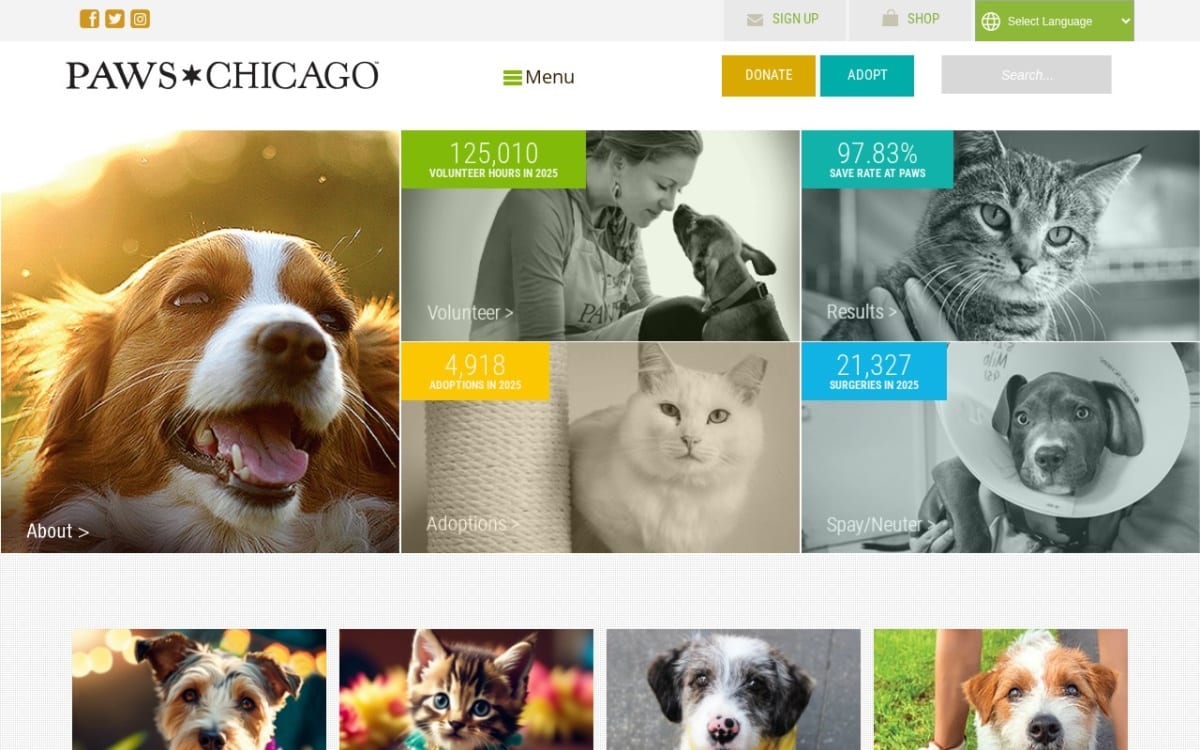 PAWS Chicago Kocourek Medical Center & Lurie Clinic veterinarian website homepage