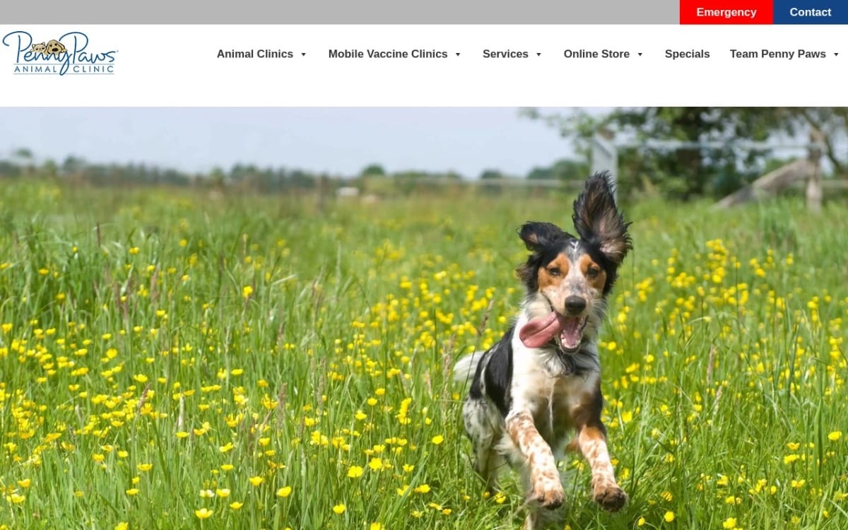 Penny Paws Animal Hospital - Fort Worth veterinarian website homepage