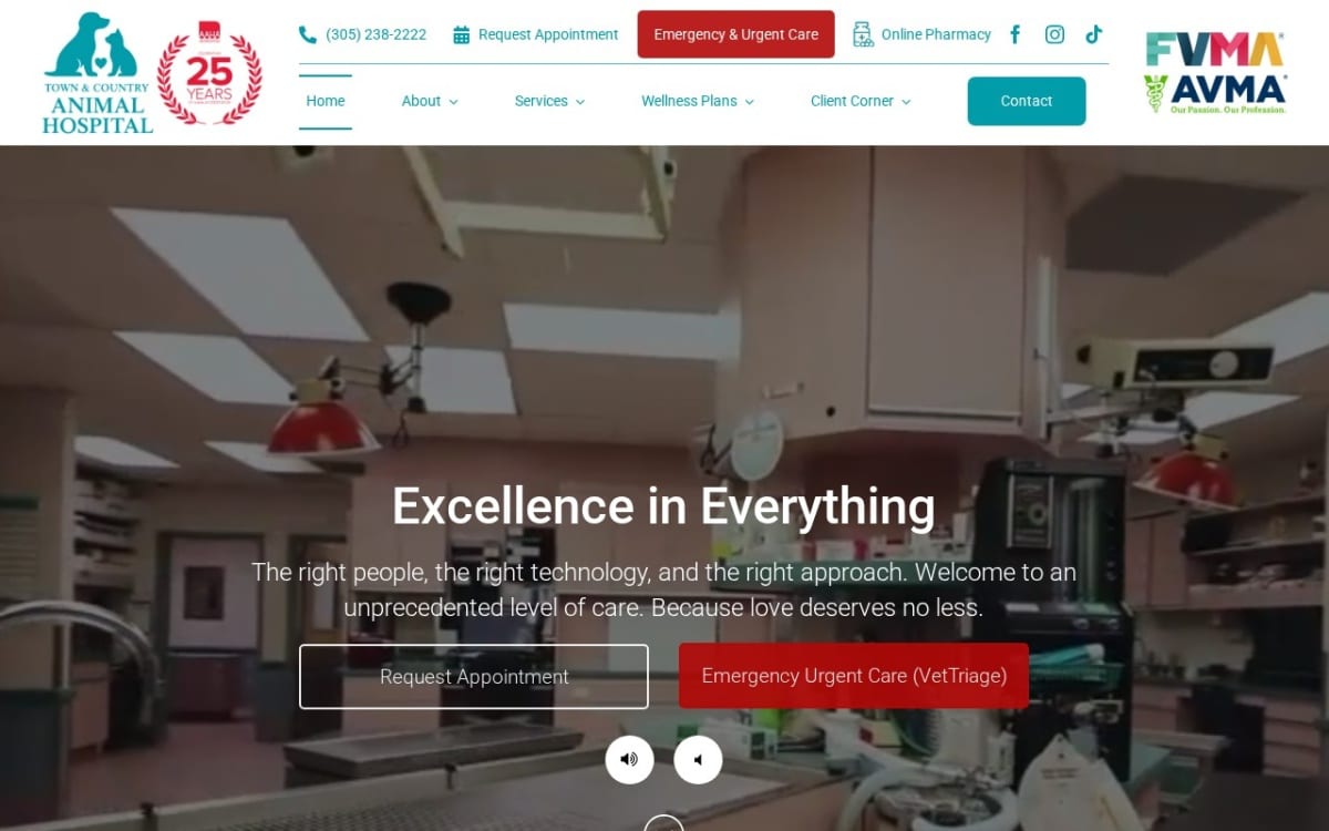 Town and Country Animal Hospital veterinarian website homepage