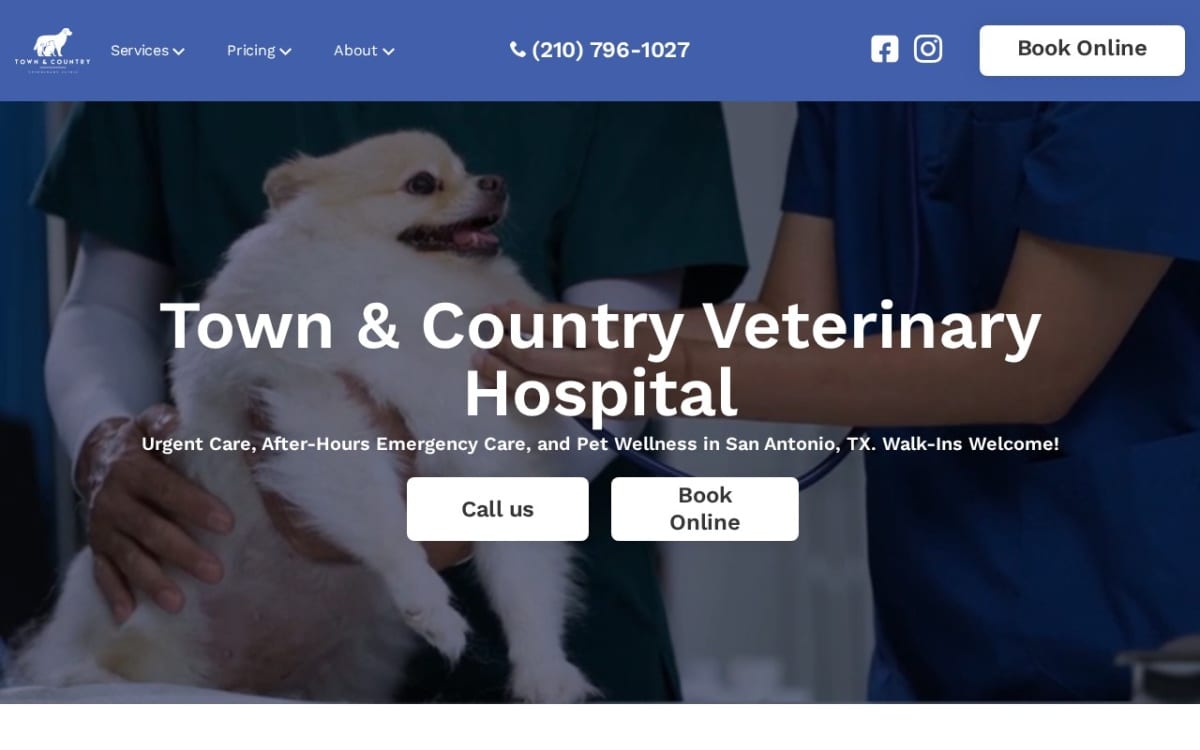 Town & Country Veterinary Hospital veterinarian website homepage